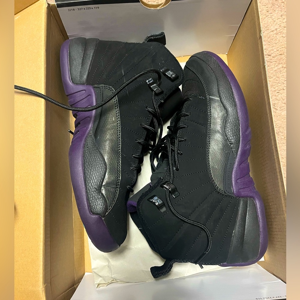 Black, Purple, Aquamarine Jordan 12 - 2009 Release